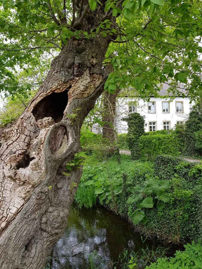 Ferienwohnung Varus Ostercappeln المظهر الخارجي الصورة